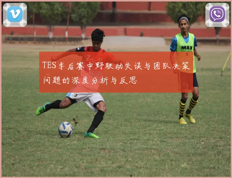 TES季后赛中野联动失误与团队决策问题的深度分析与反思