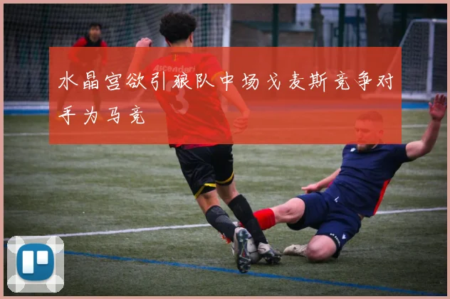 水晶宫欲引狼队中场戈麦斯竞争对手为马竞