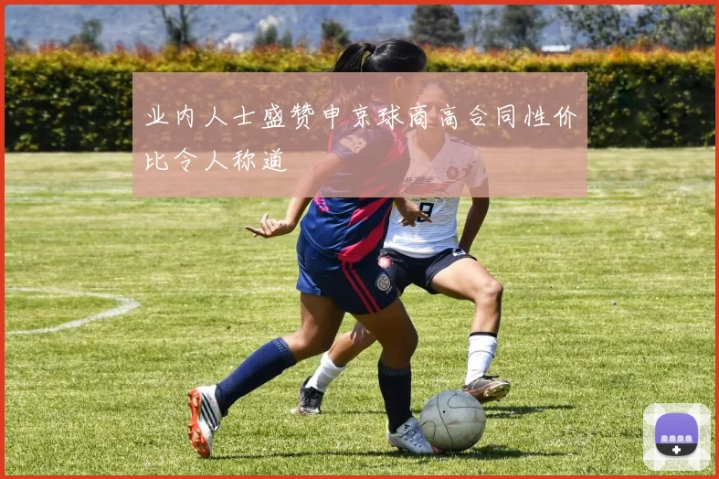 业内人士盛赞申京球商高合同性价比令人称道